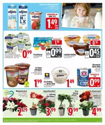 Gazetka promocyjna Edeka - Prospekte - Gazetka - ważna od 13.11 do 13.11.2024 - strona 11 - produkty: bärenmarke, Becher, chia, Dr. Oetker, frucht, fruchtzwerge, gin, kaffee, landliebe, LG, Löffel, milch, müsli, pflanze, pudding, rosen, tee, topf, trolli, Weihnachtsstern, zwiebel