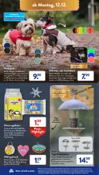Gazetka promocyjna AldiSud - NÄCHSTE WOCHE - Gazetka - ważna od 17.12 do 17.12.2022 - strona 26 - produkty: aldi, alle artikel ohne dekoration, auer, blume, blumen, bürste, decke, dekoration, dell, edelstahl, eis, elle, ente, erdnuss, gin, Jacke, kleid, Kleidung, Knödel, lack, Leuchte, Meisenknödel, Mode, natur, nuss, reifen, reis, Ria, ring, snack, sonnenblume, sonnenblumen, Sonnenblumenkerne, sonnenblumenkernen, Ti, usb, Vogelfutter, Wild, ZTE