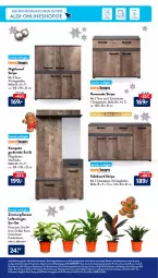 Gazetka promocyjna AldiSud - NÄCHSTE WOCHE - Gazetka - ważna od 17.12 do 17.12.2022 - strona 35 - produkty: aldi, alle artikel ohne dekoration, angebot, angebote, aust, Bau, dekoration, elle, erde, Garderobe, highboard, kommode, LG, Luftreiniger, möbel, Mode, pflanze, pflanzen, reifen, reiniger, rwe, sideboard, Ti