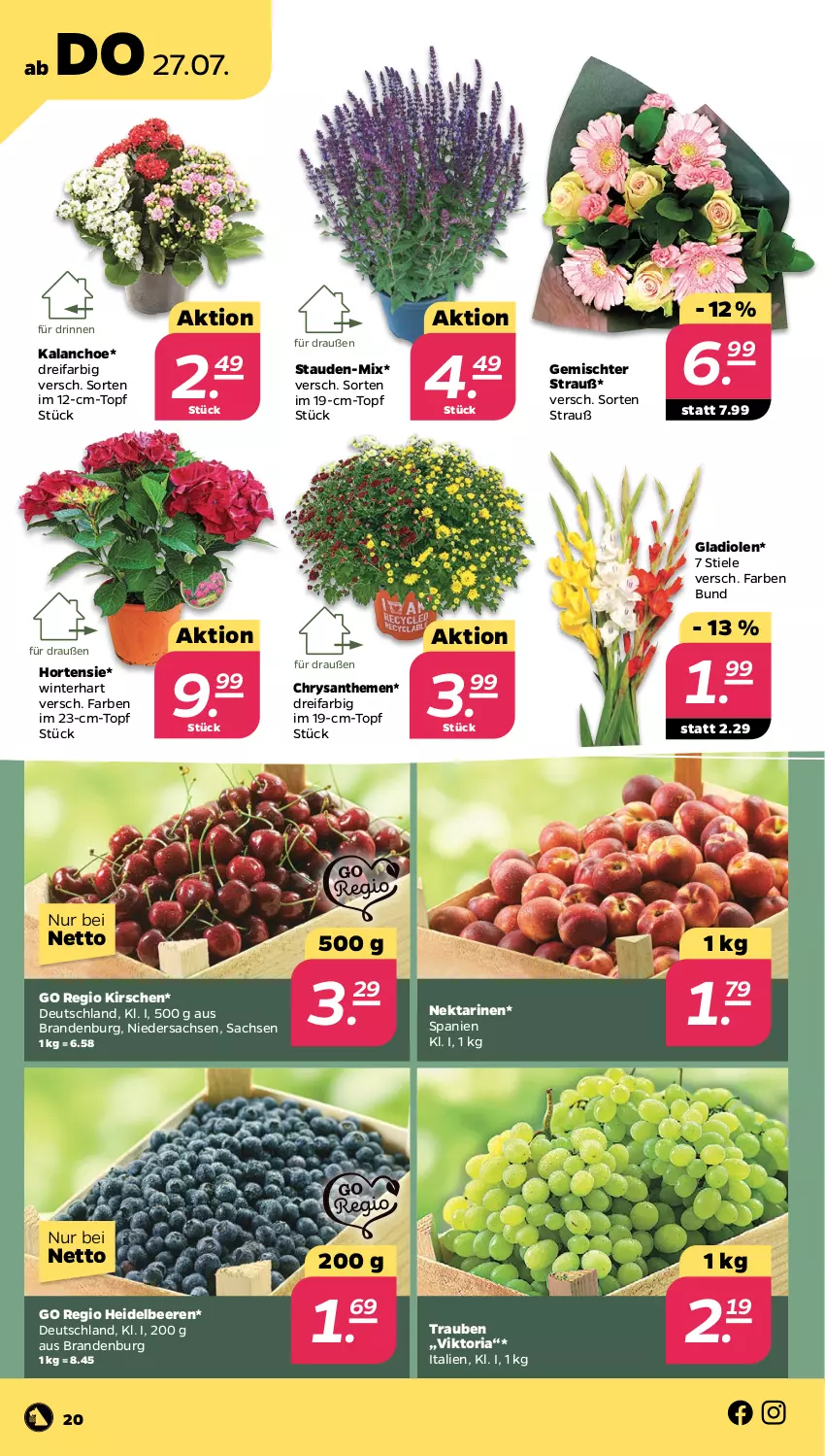 Aktueller Prospekt Netto - Woche 30 - von 24.07 bis 29.07.2023 - strona 20 - produkty: beere, beeren, chrysanthemen, Gladiolen, heidelbeere, heidelbeeren, hortensie, Kalanchoe, kirsch, kirsche, kirschen, Nektar, nektarinen, Ria, sac, stauden, Ti, topf, trauben