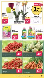 Gazetka promocyjna Netto - Woche 30 - Gazetka - ważna od 29.07 do 29.07.2023 - strona 21 - produkty: bio, blume, blumen, blumenkohl, Bundmöhren, cherrytomaten, dünger, erde, LG, Mett, möhren, orchidee, orchideen, Orchideenerde, paprika, paprika rot, Schmetterling, sofortrabatt, Ti, tomate, tomaten, topf, übertopf