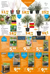Gazetka promocyjna  - Gazetka - ważna od 14.03 do 14.03.2026 - strona 3 - produkty: apfel, auer, Bau, beutel, bio, chips, dünger, erde, Garten, Holz, HP, kirsch, kirsche, korn, kräuter, kräutern, natur, obst, olive, oliven, rasen, sac, Spezi, Ti, topf, Topfen, wasser