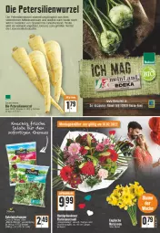 Gazetka promocyjna Edeka - Angebote der Woche - Gazetka - ważna od 19.02 do 19.02.2022 - strona 5 - produkty: Bau, beutel, bio, bioland, ente, Heu, lebensmittel, Narzissen, nuss, petersilie, salat, salate, Schal, Schale, tee, Ti, Wild