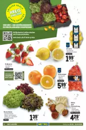 Gazetka promocyjna Metro - Food - Gazetka - ważna od 04.05 do 04.05.2022 - strona 6 - produkty: angebot, angebote, aust, Austern, beere, beeren, bio, bunte salate, decke, eis, elle, erdbeere, erdbeeren, Metro, obst, orange, orangen, pilze, Pilzmischung, reis, sac, saft, Saftorangen, salat, salate, Schal, Schale, Ti, und gemüse, zitrone, zitronen