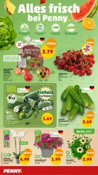 Gazetka promocyjna Penny - Prospekte - Gazetka - ważna od 22.07 do 22.07.2023 - strona 2 - produkty: beutel, kirsch, kirsche, kirschen, Mett, orchidee, Ti, topf, zauberglöckchen