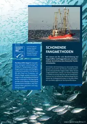 Gazetka promocyjna Selgros - Vorschau:
            Nachhaltigkeit - Gazetka - ważna od 26.01 do 26.01.2022 - strona 5 - produkty: eis, erde, fisch, fische, Fischer, Heu, HP, leine, Nike, reis, Schere, Ti, WICK, Wild
