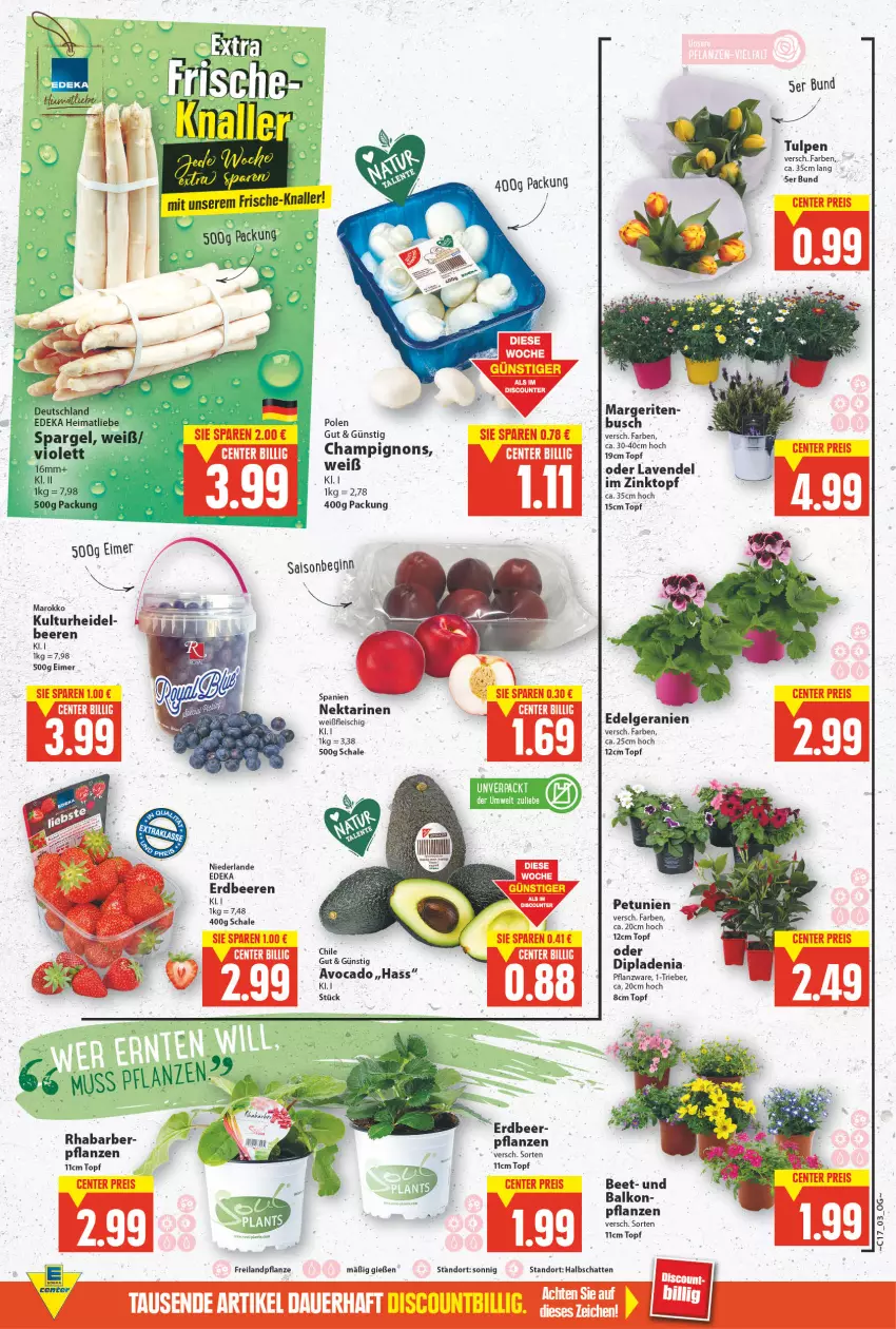 Aktueller Prospekt E Center - Angebote der Woche - von 25.04 bis 30.04.2022 - strona 3 - produkty: avocado, beere, beeren, champignon, champignons, deka, dip, dipladenia, eimer, eis, erdbeere, erdbeeren, fleisch, geranie, geranien, gin, lavendel, LG, Nektar, nektarinen, petunie, petunien, pflanze, pflanzen, rhabarber, Schal, Schale, Ti, topf