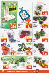 Gazetka promocyjna E Center - Angebote der Woche - Gazetka - ważna od 30.04 do 30.04.2022 - strona 3 - produkty: avocado, beere, beeren, champignon, champignons, deka, dip, dipladenia, eimer, eis, erdbeere, erdbeeren, fleisch, geranie, geranien, gin, lavendel, LG, Nektar, nektarinen, petunie, petunien, pflanze, pflanzen, rhabarber, Schal, Schale, Ti, topf