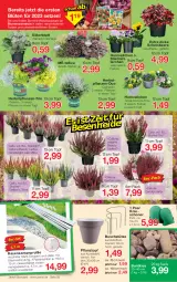 Gazetka promocyjna Jawoll - Prospekte - Gazetka - ważna od 08.10 do 08.10.2022 - strona 6 - produkty: beere, blume, blumen, Blüte, cin, LG, Mantel, pflanze, pflanzen, Pflanztopf, rasen, Ria, rwe, sac, starlight, Ti, topf, zwiebel, zwiebeln