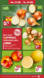 Gazetka promocyjna Aldi Nord - Von Montag - Gazetka - ważna od 26.08 do 26.08.2023 - strona 3 - produkty: aldi, angebot, bio, braun, champignon, champignons, champignons braun, eis, Nektar, nektarinen, reis, Schal, Schale, Speisezwiebeln, Ti, trolli, zitrone, zitronen, ZTE, zwiebel, zwiebeln