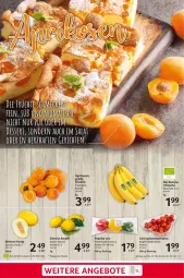 Gazetka promocyjna Selgros - Food - Gazetka - ważna od 03.07 do 03.07.2024 - strona 3 - produkty: banane, bio, datteltomaten, eis, früchte, honig, LG, melone, reis, salat, Ti, tomate, tomaten, zitrone