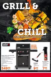 Gazetka promocyjna Selgros - Food - Gazetka - ważna od 03.07 do 03.07.2024 - strona 7 - produkty: abdeckhaube, bürste, eis, gasgrill, grill, grillfläche, grillrost, reis, Ti