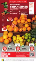 Gazetka promocyjna Lidl - Aktionsprospekt - Gazetka - ważna od 19.11 do 19.11.2022 - strona 14 - produkty: Abtei, angebot, asti, bio, clementinen, discount, eis, elle, ente, frucht, früchte, grapefruit, limette, limetten, magazin, mandarine, mandarinen, Mett, metten, obst, Obst und Gemüse, orange, orangen, reis, Schal, Schale, Ti, und gemüse, zitrone, zitronen
