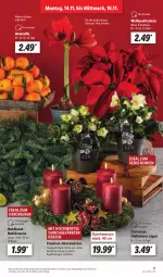 Gazetka promocyjna Lidl - Aktionsprospekt - Gazetka - ważna od 19.11 do 19.11.2022 - strona 15 - produkty: Adventskranz, angebot, eis, elle, kerze, Kranz, messer, reis, tee, Ti, topf, Weihnachtsstern, ZTE