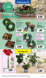 Gazetka promocyjna Lidl - Aktionsprospekt - Gazetka - ważna od 19.11 do 19.11.2022 - strona 29 - produkty: angebot, Blüte, dell, eis, elle, Glaskugel, Heidekraut, Holz, Kranz, Kraut, Kugel, kulturtopf, LG, messer, Mode, reis, Ria, Schal, Schale, tee, Teelicht, Thea, Ti, topf, Türkranz, Weihnachtskranz, ZTE