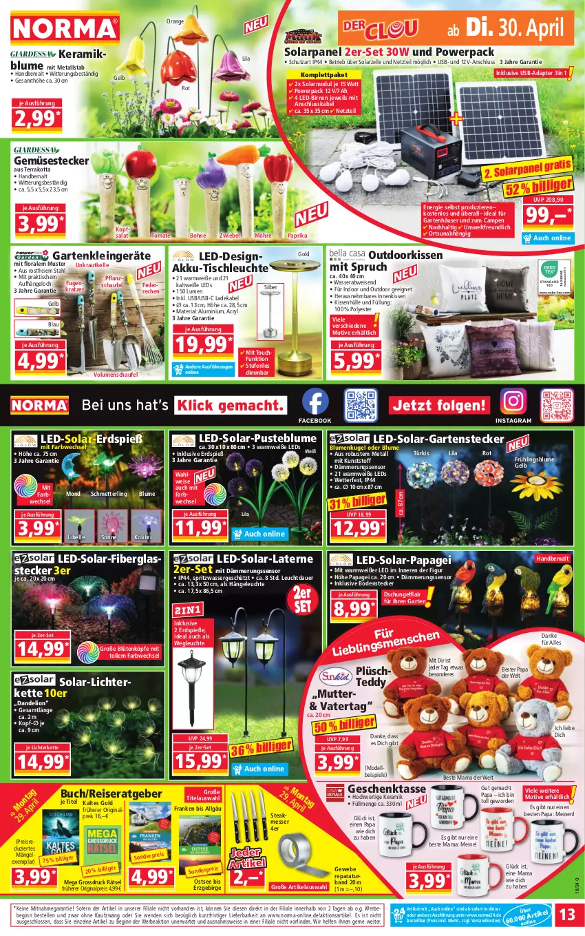 Aktueller Prospekt Norma - Norma - von 29.04 bis 06.05.2024 - strona 13 - produkty: adapter, akku, auer, Bebe, Birnen, blume, blumen, Blüte, bohne, buch, deka, dell, eis, elle, Garten, gin, Hängeleuchte, Kette, kissen, kissenhülle, kopfsalat, Kraut, Kugel, ladekabel, laterne, leds, Leuchte, LG, lichterkette, lion, mac, mam, messer, Mett, Mode, ndk, orange, paprika, Plüsch, pril, reis, Ria, salat, Schmetterling, Spiele, ssd, steak, tasse, Ti, tisch, tischleuchte, tomate, usb, wasser, ZTE, zwiebel