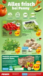 Gazetka promocyjna Penny - Prospekte - Gazetka - ważna od 08.10 do 08.10.2022 - strona 2 - produkty: apfel, Apfelkuchen, auer, Bau, Bauer, beere, beeren, braun, feldsalat, kiwi, korb, kuchen, leine, mac, salat, Schal, Schale, tee