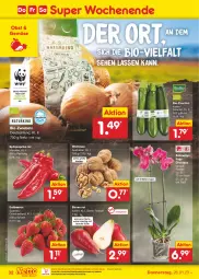 Gazetka promocyjna Netto Marken-Discount - Filial-Angebote - Gazetka - ważna od 28.01 do 28.01.2023 - strona 32 - produkty: asti, aust, beere, beeren, bestpreis, bio, bio-zucchini, Birnen, Blüte, eis, erdbeere, erdbeeren, Mett, ndk, obst, orchidee, paprika, paprika rot, reis, Schal, Schale, Schmetterling, schmetterlingsorchidee, Spitzpaprika, Ti, topf, zucchini, zwiebel, zwiebeln