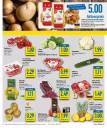 Gazetka promocyjna Diska - Prospekte - Gazetka - ważna od 17.12 do 17.12.2022 - strona 5 - produkty: aktionspreis, ananas, bio, blume, blumen, blumenkohl, clementinen, deka, edeka bio, eis, gurke, kartoffel, kartoffeln, kiwi, Kiwi Gold, kohlrabi, nuss, paprika, paprika rot, pflaume, pflaumen, reis, rispentomaten, salat, Salatgurke, Schal, Schale, speisekartoffeln, Speisezwiebeln, tafeläpfel, tafeltrauben, Ti, tomate, tomaten, trauben, zwiebel, zwiebeln