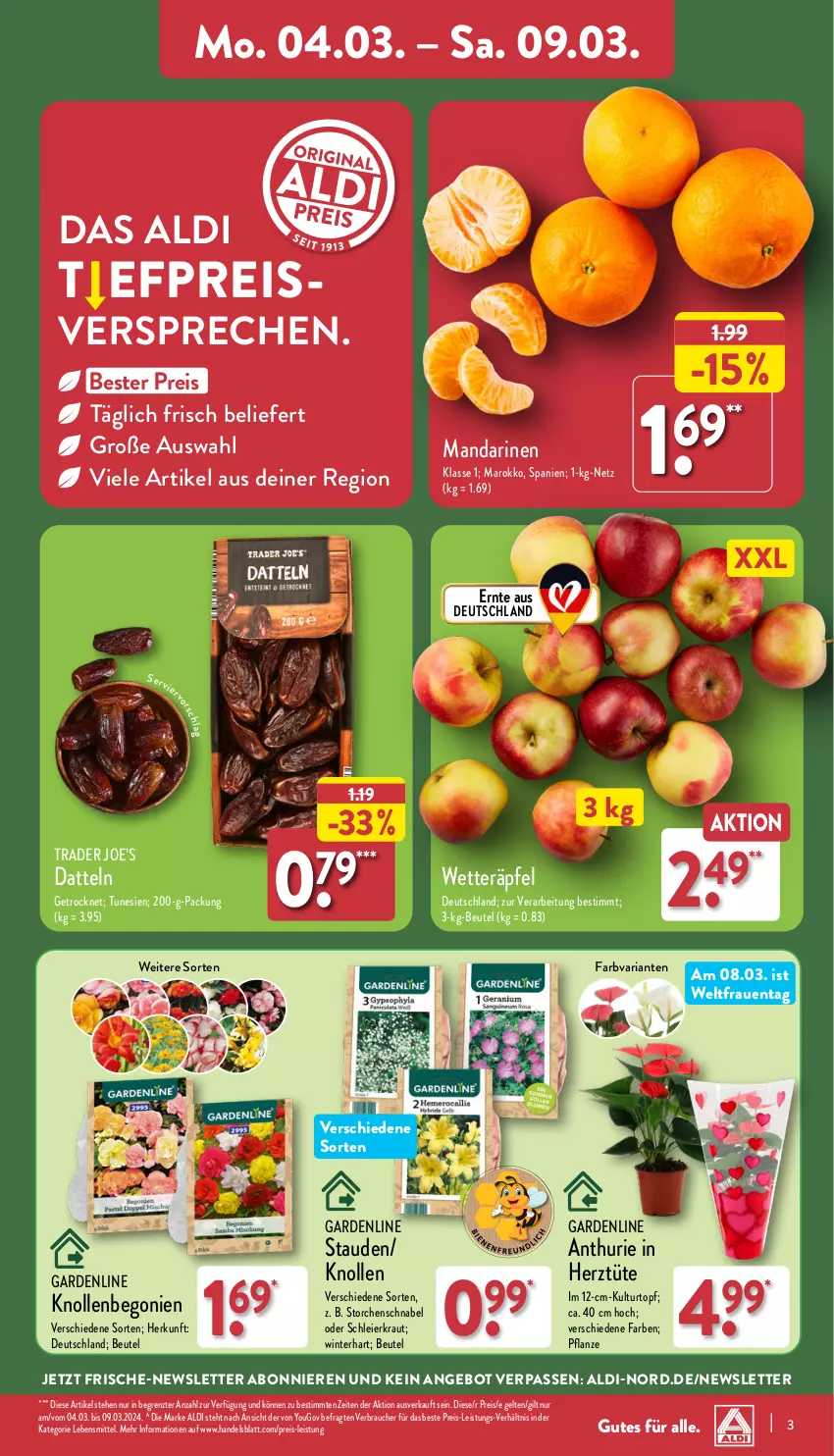 Aktueller Prospekt Aldi Nord - Von Montag - von 04.03 bis 09.03.2024 - strona 3 - produkty: aldi, angebot, Begonie, beutel, Datteln, eier, eis, Kraut, kulturtopf, lebensmittel, mandarine, mandarinen, pflanze, Rauch, reis, Ria, stauden, Ti, topf, Tüte, Yo, ZTE