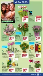 Gazetka promocyjna Aldi Nord - Von Montag - Gazetka - ważna od 09.03 do 09.03.2024 - strona 19 - produkty: auer, ball, Bau, Bauer, blume, blumen, eis, geranie, kulturtopf, lavendel, LG, Narzissen, pflanze, phalaenopsis, reis, Ria, rosen, rosmarin, Ti, tiefpreis, topf, trolli