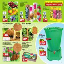 Gazetka promocyjna Thomas Philipps - Prospektwerbung - Gazetka - ważna od 03.09 do 03.09.2022 - strona 9 - produkty: Abba, apfel, aprikose, Bau, beere, beeren, bio, Blüte, Blütenstauden, chrysanthemen, decke, Deckel, Draht, eis, elle, erde, flieder, heidelbeere, himbeer, himbeere, Holz, johannisbeere, jumbo, Kalanchoe, kirsch, kirsche, kokos, Kugel, lavendel, obst, pfirsich, pflanze, pflanzen, Pflanztopf, pflaume, reis, Schal, Schale, stauden, Ti, topf, vita, wasser, Wild