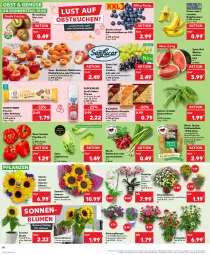 Gazetka promocyjna Kaufland - Prospekt - Gazetka - ważna od 07.08 do 07.08.2024 - strona 10 - produkty: angebot, aprikose, aprikosen, banane, bananen, beere, beeren, blume, blumen, butter, eis, erbsen, finesse, früchte, Frühkartoffeln, Garten, Gartenpflanze, glücksklee, Hefe, heidelbeere, heidelbeeren, kartoffel, kartoffeln, kiwi, kuchen, Lauchzwiebel, lauchzwiebeln, Löffel, mandel, mandeln, melone, Nektar, nektarinen, obst, oder pfirsiche, orchidee, paprika, pfirsich, pfirsiche, pfirsiche oder, pflanze, pflanzen, plattpfirsiche, radieschen, rezept, rezepte, Ria, rosen, Rosenstrauß, rum, sac, sahne, salat, salatherzen, sim, simba, sonnenblume, sonnenblumen, speisefrühkartoffeln, stifte, tafeltrauben, tante fanny, Ti, topf, topf ø 12 cm, trauben, übertopf, Vase, wasser, ZTE, zucker, zwiebel, zwiebeln