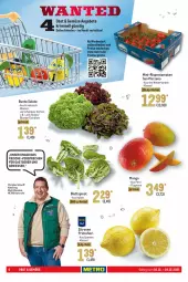 Gazetka promocyjna Metro - Food - Gazetka - ważna od 24.12 do 24.12.2021 - strona 6 - produkty: Abtei, angebot, angebote, beutel, bio, blattspinat, bunte salate, decke, eis, , mango, Metro, mini-rispentomaten, obst, reis, rispentomaten, salat, salate, spinat, Ti, tomate, tomaten, zitrone, zitronen