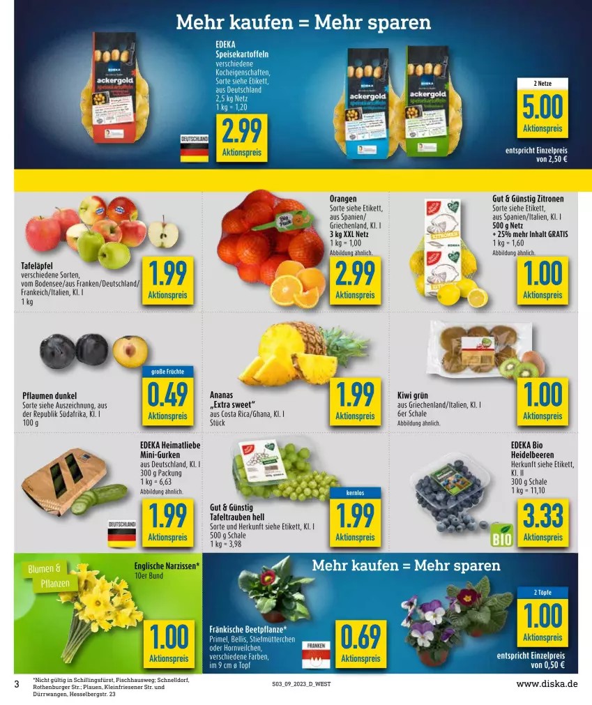 Aktueller Prospekt Diska - Prospekte - von 27.02 bis 04.03.2023 - strona 3 - produkty: aktionspreis, ananas, beere, beeren, bio, burger, deka, edeka bio, eis, fisch, früchte, gurke, gurken, heidelbeere, heidelbeeren, kiwi, mini-gurken, orange, orangen, pflanze, pflaume, pflaumen, reis, Schal, Schale, tafeläpfel, tafeltrauben, Ti, trauben, zitrone, zitronen