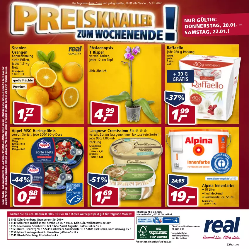 Aktueller Prospekt Real - Real Handzettel - von 17.01 bis 22.01.2022 - strona 48 - produkty: alpina, angebot, angebote, auer, Berger, bosch, cremissimo, decke, Diesel, eis, elle, filet, filets, früchte, hering, Herings, heringsfilets, innenfarbe, langnese, langnese cremissimo, LG, Metro, Narzissen, orange, orangen, payback, phalaenopsis, raffaello, reis, ring, rwe, sim, teller, Ti, topf