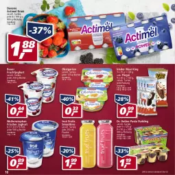 Gazetka promocyjna Real - Real Handzettel - Gazetka - ważna od 22.01 do 22.01.2022 - strona 10 - produkty: actimel, actimel drink, auer, Bau, Bauer, Becher, danone, danone actimel drink, Dr. Oetker, drink, eis, flasche, frucht, fruchtjoghurt, Garten, joghur, joghurt, Kinder, Kinder Maxi, kinder maxi king, obst, obstgarten, Paula, paula pudding, pingui, pudding, reis, smoothie, smoothies, Ti, weihenstephan
