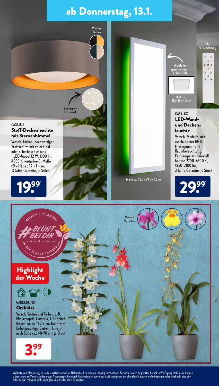 Aktueller Prospekt AldiSud - ALDI Aktuell - von 10.01 bis 15.01.2022 - strona 27 - produkty: aldi, alle artikel ohne dekoration, beleuchtung, blume, blumen, Blüte, decke, deckenleuchte, dekoration, dell, eis, elle, fernbedienung, gardenline®, gin, kulturtopf, Leuchte, Mode, orchidee, phalaenopsis, quad, Ria, Schal, Ti, tisch, topf, ZTE