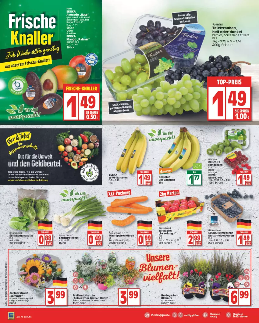 Aktueller Prospekt Edeka - Angebote der Woche - von 12.09 bis 17.09.2022 - strona 10 - produkty: apfel, arla, avocado, banane, bananen, beere, beeren, bio, deka, eis, Elan, elle, Garten, himbeer, himbeere, himbeeren, kiwi, Lauchzwiebel, lauchzwiebeln, lebensmittel, mango, möhren, nuss, pflanze, pflanzen, reis, Romanasalat, salat, Schal, Schale, speisemöhren, tafeltrauben, Ti, topf, trauben, Yo, ZTE, zwiebel, zwiebeln