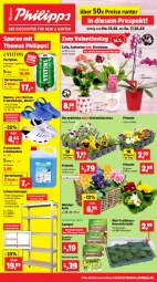 Gazetka promocyjna Thomas Philipps - Gazetka - ważna od 17.02 do 17.02.2024 - strona 1 - produkty: Bau, blume, blumen, Clogs, eis, früchte, Holz, hülsenfrüchte, korb, orchidee, orchideen, pflanze, pflanzen, Primeln, regal, reis, Schal, Schale, schwerlastregal, senf, Ti, topf, übertopf, vorteilspreis