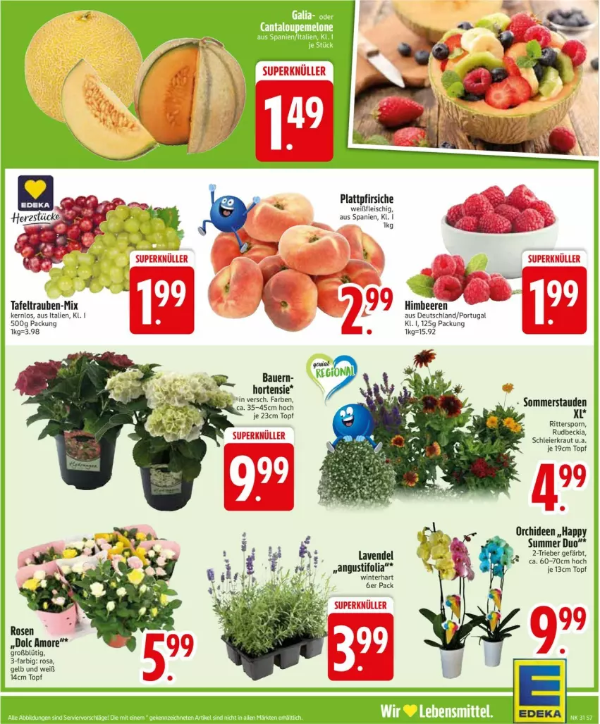 Aktueller Prospekt Edeka - Prospekte - von 28.07 bis 02.08.2025 - strona 9 - produkty: auer, Bau, Bauer, beere, beeren, deka, eier, himbeer, himbeere, himbeeren, hortensie, Kraut, lavendel, orchidee, orchideen, ritter, rosen, stauden, tafeltrauben, Ti, topf, trauben