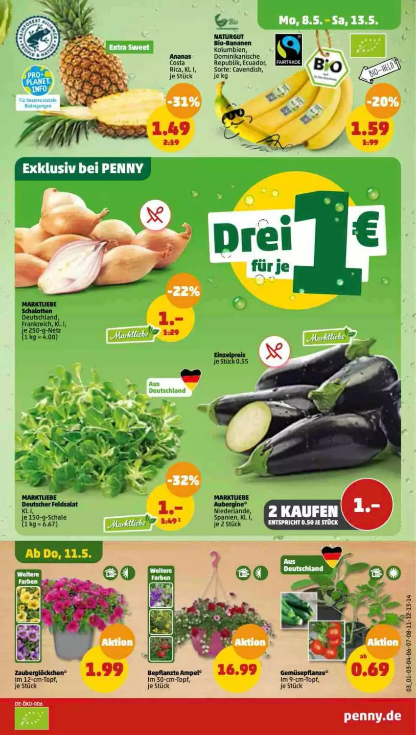 Aktueller Prospekt Penny - Prospekte - von 08.05 bis 13.05.2023 - strona 3 - produkty: ananas, im 9-cm-topf, Schal, Schale, topf