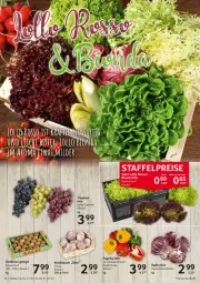 Gazetka promocyjna Selgros - Food - Gazetka - ważna od 27.07 do 27.07.2022 - strona 10 - produkty: bio, eis, Elan, kiwi, knoblauch, korb, paprika, paprika mix, Radicchio, reis, salat, Ti, trauben