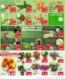 Gazetka promocyjna Kaufland - Prospekt - Gazetka - ważna od 08.05 do 08.05.2024 - strona 10 - produkty: angebot, Bad, ball, Bau, beere, beeren, beutel, bio, blume, blumen, braun, champignon, champignons, cocktail, eis, elle, ente, erdbeere, erdbeeren, erde, früchte, Frühkartoffeln, Gewächshaus, gurke, hortensie, kartoffel, kartoffeln, kiwi, Kiwi Gold, kohlrabi, korb, Lauchzwiebel, lauchzwiebeln, leine, LG, möhren, obst, Obst und Gemüse, pflanze, pflanzen, radieschen, reis, Ria, ring, rispentomaten, sac, salat, Schal, Schale, spargel, speisefrühkartoffeln, Ti, tomate, tomaten, topf, topf ø 12 cm, trolli, und gemüse, wasser, zauberglöckchen, ZTE, zwiebel, zwiebeln