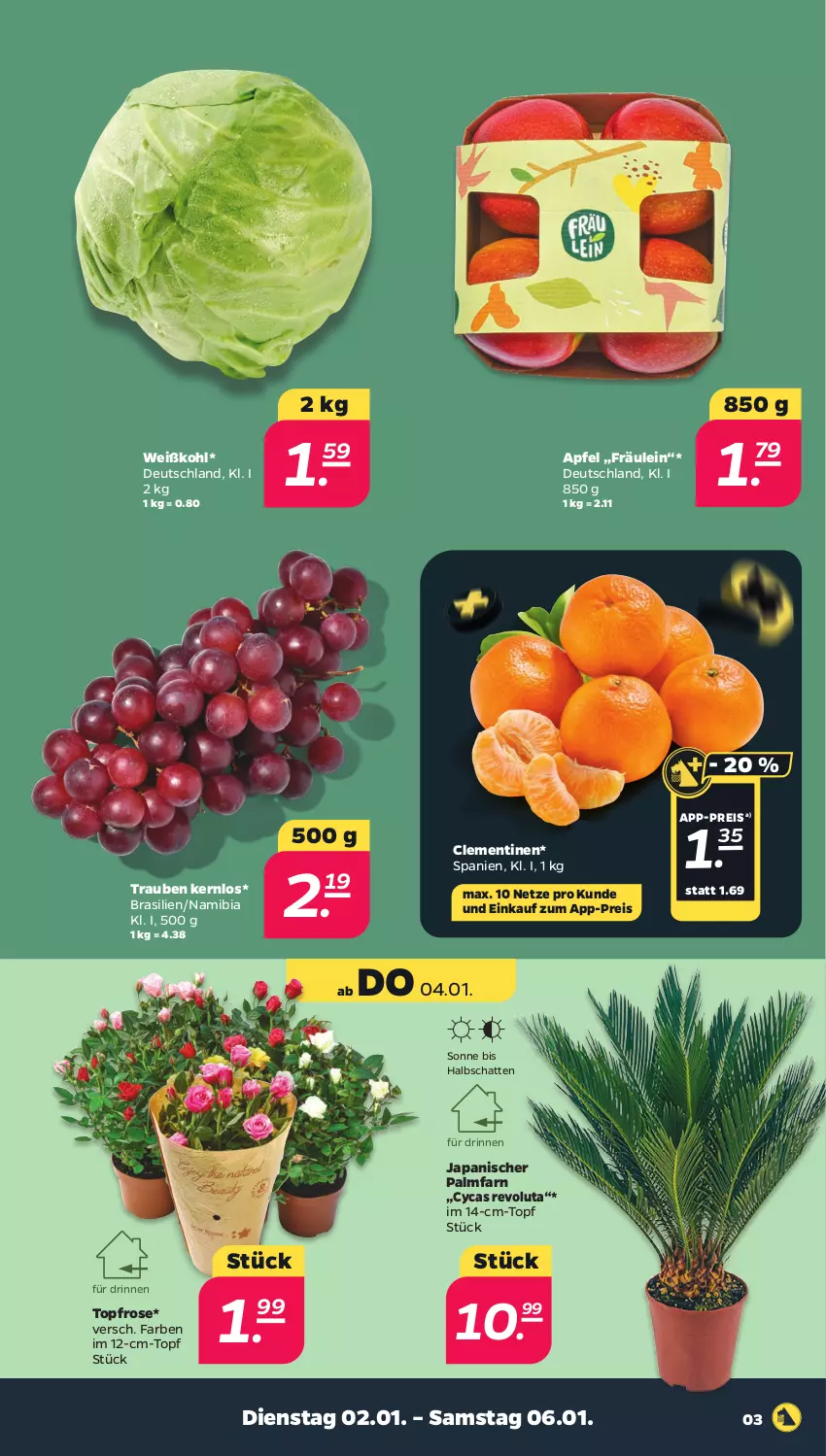 Aktueller Prospekt Netto - Woche 1 - von 02.01 bis 06.01.2024 - strona 3 - produkty: apfel, clementinen, eis, reis, Ti, topf, trauben, Weißkohl