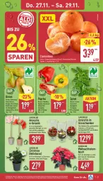 Gazetka promocyjna Aldi Nord - Von Montag - Gazetka - ważna od 29.11 do 29.11.2025 - strona 33 - produkty: Birnen, clementinen, elle, gin, kulturtopf, LG, paprika, pflanze, Schal, Schale, spinat, Ti, topf, trolli, übertopf, Weihnachtsstern, ZTE, zwiebel