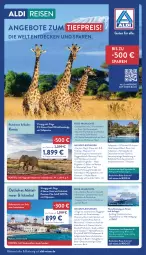 Gazetka promocyjna Aldi Nord - Von Montag - Gazetka - ważna od 29.11 do 29.11.2025 - strona 49 - produkty: aldi, alkohol, angebot, angebote, Bad, balkonkabine, buch, decke, deutschsprachige reiseleitung, eis, getränk, getränke, inklusivleistungen, Liege, pril, reis, reise-highlights, reiseverlauf, Ti, tiefpreis, Zelt