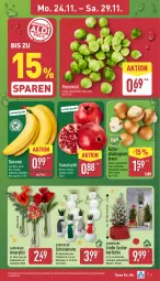 Gazetka promocyjna Aldi Nord - Von Montag - Gazetka - ważna od 29.11 do 29.11.2025 - strona 9 - produkty: apfel, banane, bananen, braun, champignon, champignons, champignons braun, eis, ente, gin, grana, granatapfel, kulturtopf, pflanze, Rana, reis, rosen, Rosenkohl, Schal, Schale, Sukkulente, Ti, topf, trolli, Vase, ZTE, zucker