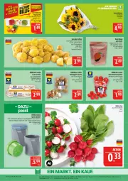 Gazetka promocyjna Marktkauf - Prospekt - Gazetka - ważna od 08.08 do 08.08.2026 - strona 7 - produkty: blume, blumen, braun, champignon, champignons, champignons braun, deka, discount, eier, eis, elle, kartoffel, kartoffeln, LG, mango, paprika, paprika mix, pflaume, pflaumen, reis, sonnenblume, sonnenblumen, spaghetti, speisekartoffeln, Spiralschneider, Ti, tomate, tomaten, ZTE