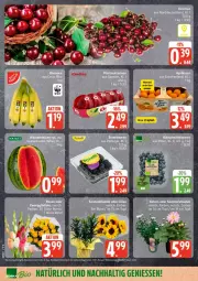 Gazetka promocyjna Edeka - Prospekte - Gazetka - ważna od 25.07 do 25.07.2026 - strona 4 - produkty: tee, Ti