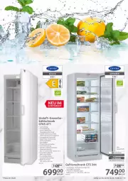 Gazetka promocyjna Selgros - Gastro - Gazetka - ważna od 15.06 do 15.06.2022 - strona 31 - produkty: auto, beleuchtung, eis, ente, gefrierschrank, kühlschrank, lack, LG, Magnets, reis, Schal, Schrank, thermostat, Ti, türanschlag wechselbar, wasser