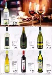 Gazetka promocyjna Selgros - Gastro - Gazetka - ważna od 15.06 do 15.06.2022 - strona 34 - produkty: ecco, eis, elle, flasche, frizzante, gin, Lambrusco, mac, mumm, nero, Pinot, pinot grigio, prosecco, reis, riesling, Ti, Vermouth, wein, weine