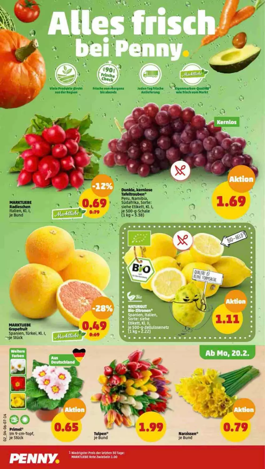 Aktueller Prospekt Penny - Prospekte - von 20.02 bis 25.02.2023 - strona 2 - produkty: eis, grapefruit, im 9-cm-topf, radieschen, reis, Rote Zwiebel, Schal, Schale, tafeltrauben, Ti, topf, trauben, ZTE, zwiebel, zwiebeln