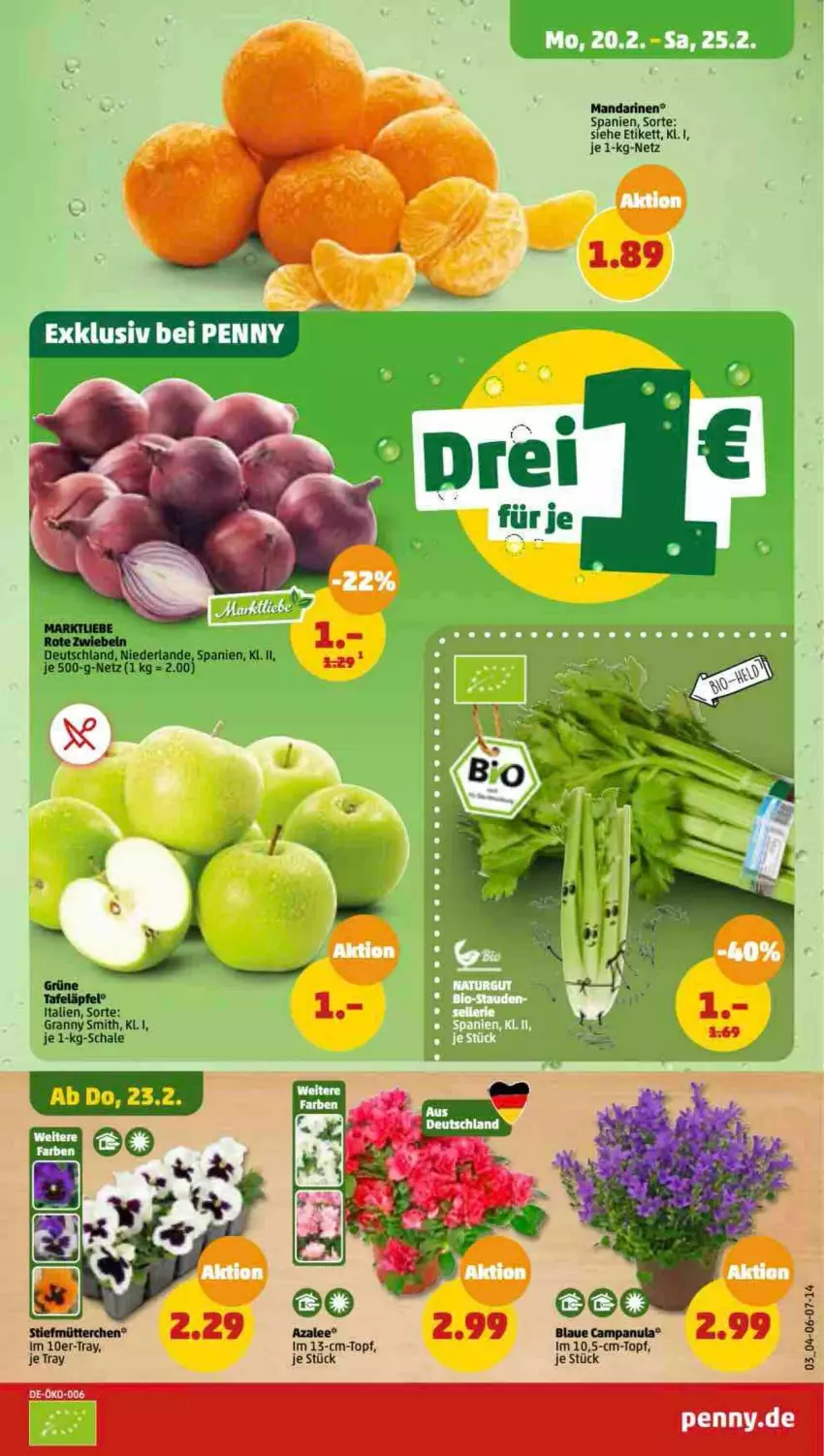 Aktueller Prospekt Penny - Prospekte - von 20.02 bis 25.02.2023 - strona 3 - produkty: Campanula, mandarine, mandarinen, Schal, Schale, tafeläpfel, Ti, topf