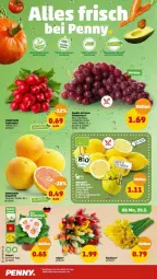 Gazetka promocyjna Penny - Prospekte - Gazetka - ważna od 25.02 do 25.02.2023 - strona 2 - produkty: eis, grapefruit, im 9-cm-topf, radieschen, reis, Rote Zwiebel, Schal, Schale, tafeltrauben, Ti, topf, trauben, ZTE, zwiebel, zwiebeln