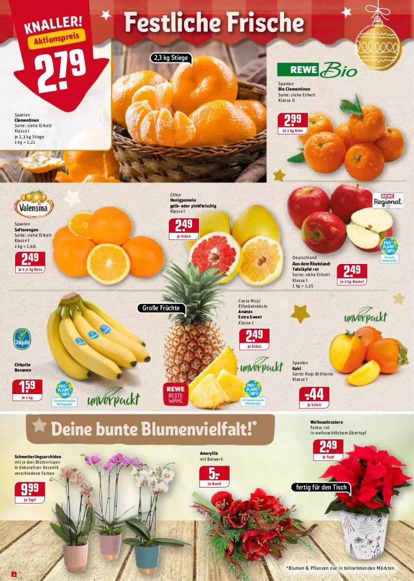 Aktueller Prospekt Rewe - REWE Ihr Kaufpark - von 13.12 bis 18.12.2021 - strona 2 - produkty: ananas, banane, bananen, beutel, bio, blume, blumen, Blüte, chiquita, clementinen, eis, fleisch, früchte, honig, Honigpomelo, Kaki, Mett, orange, orangen, orchidee, pflanze, pflanzen, Pomelo, saft, Saftorangen, Schmetterling, schmetterlingsorchidee, tafeläpfel, Ti, tisch, topf, übertopf, Weihnachtsstern